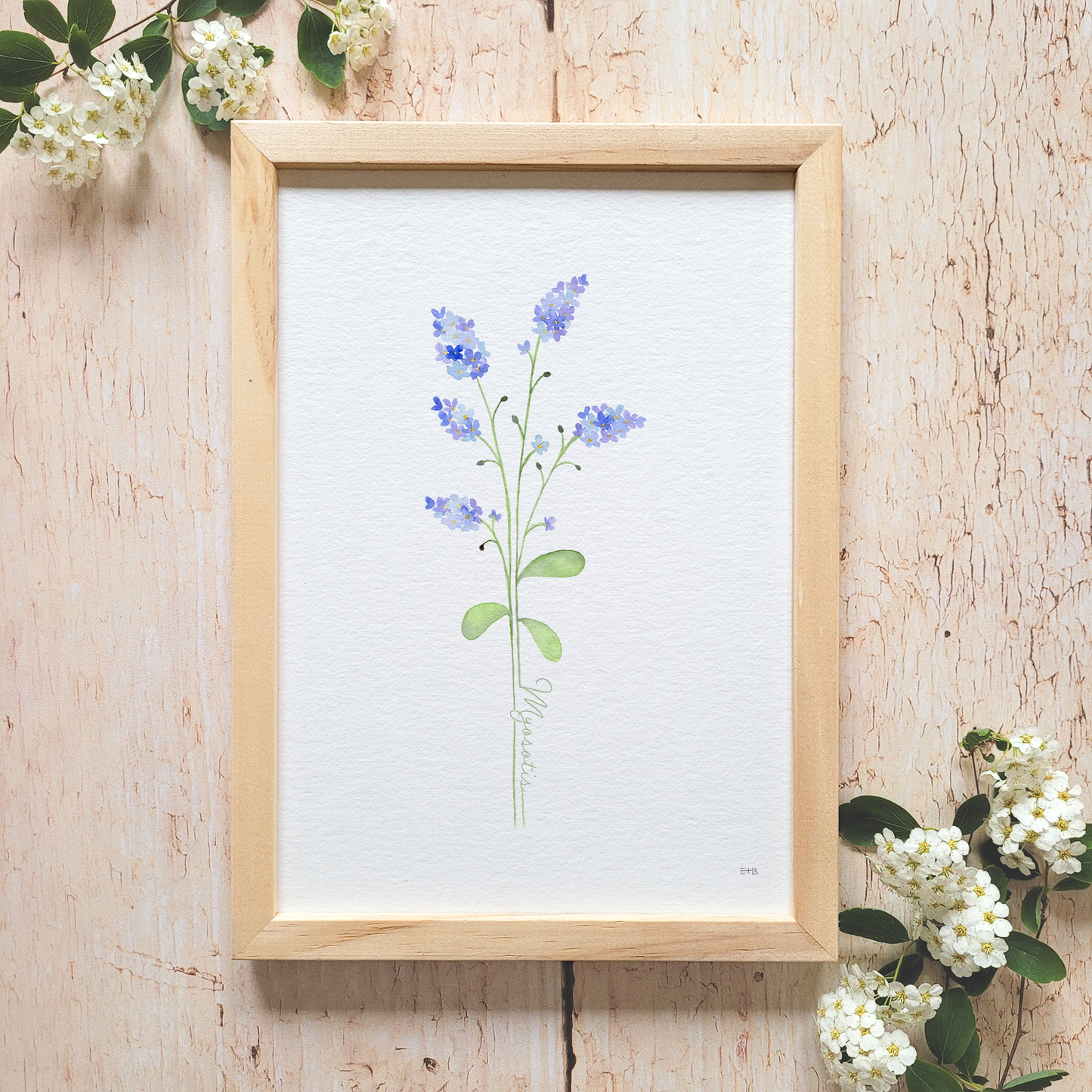 Affiche florale aquarelle · "Le myosotis" · Texte personnalisable