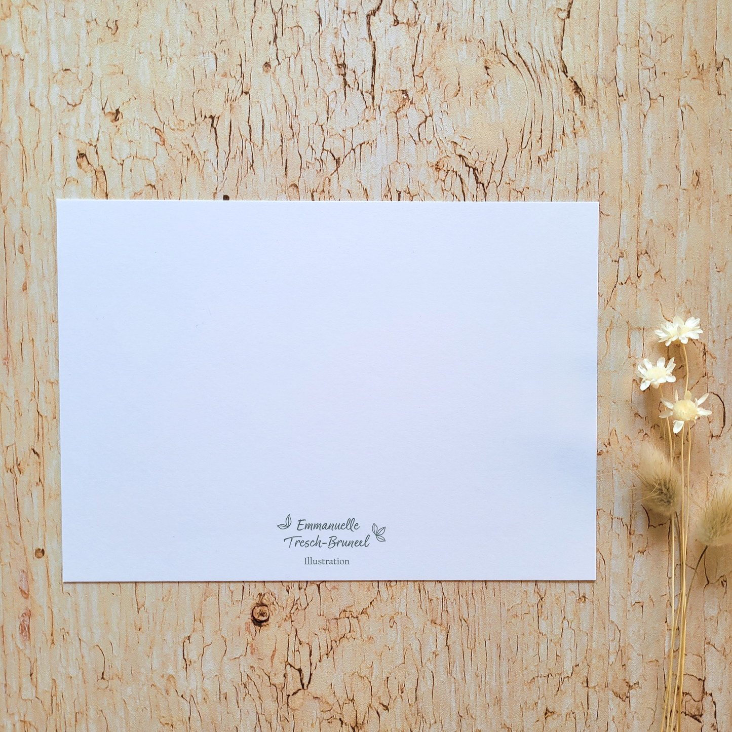 Carte de voeux "Les Oiseaux de Noël"