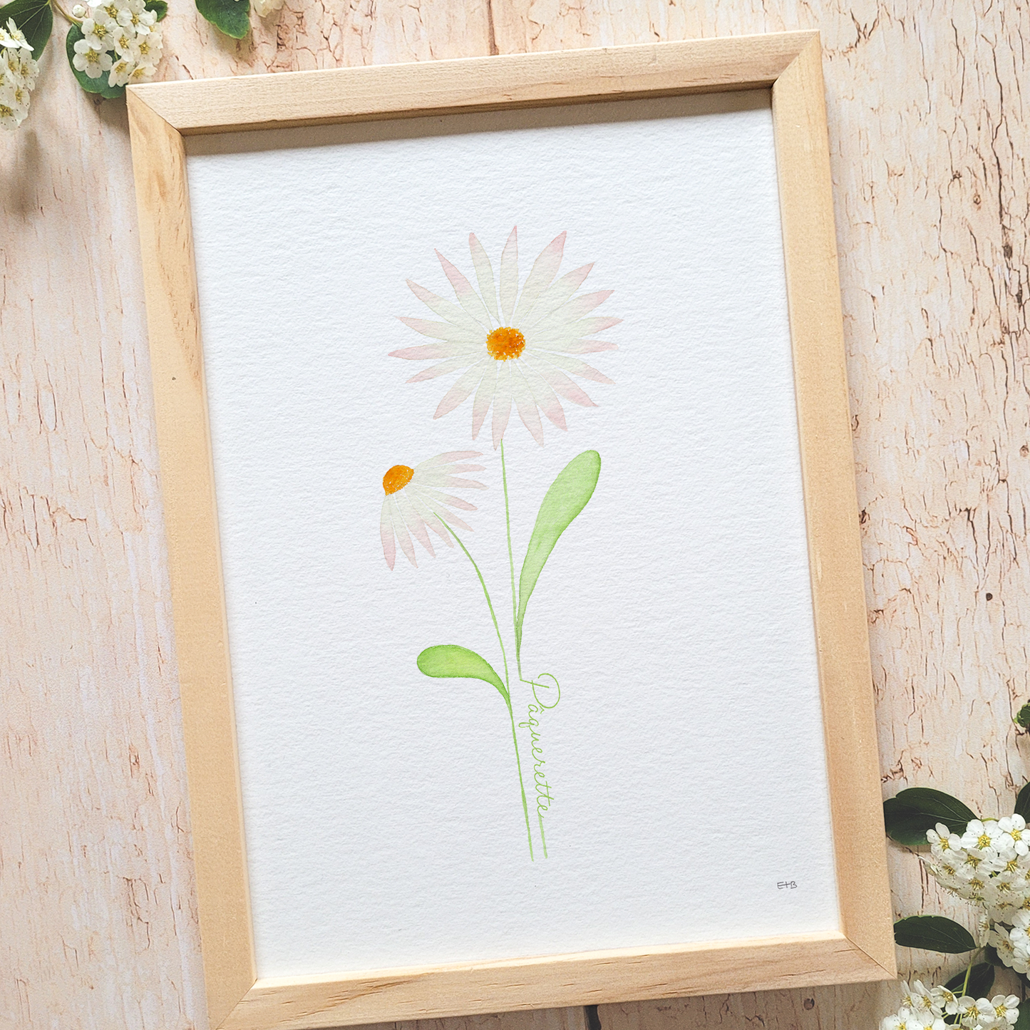 Affiche florale aquarelle · "La pâquerette" · Texte personnalisable