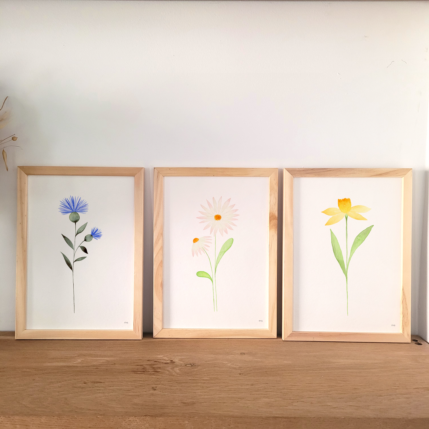 Affiche florale aquarelle · "La pâquerette" · Texte personnalisable