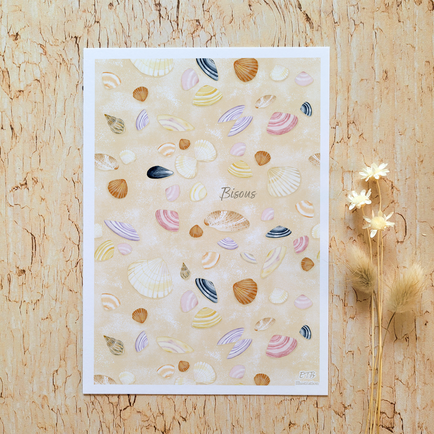 Carte de vœux · "Trésors des sables" · Bisous